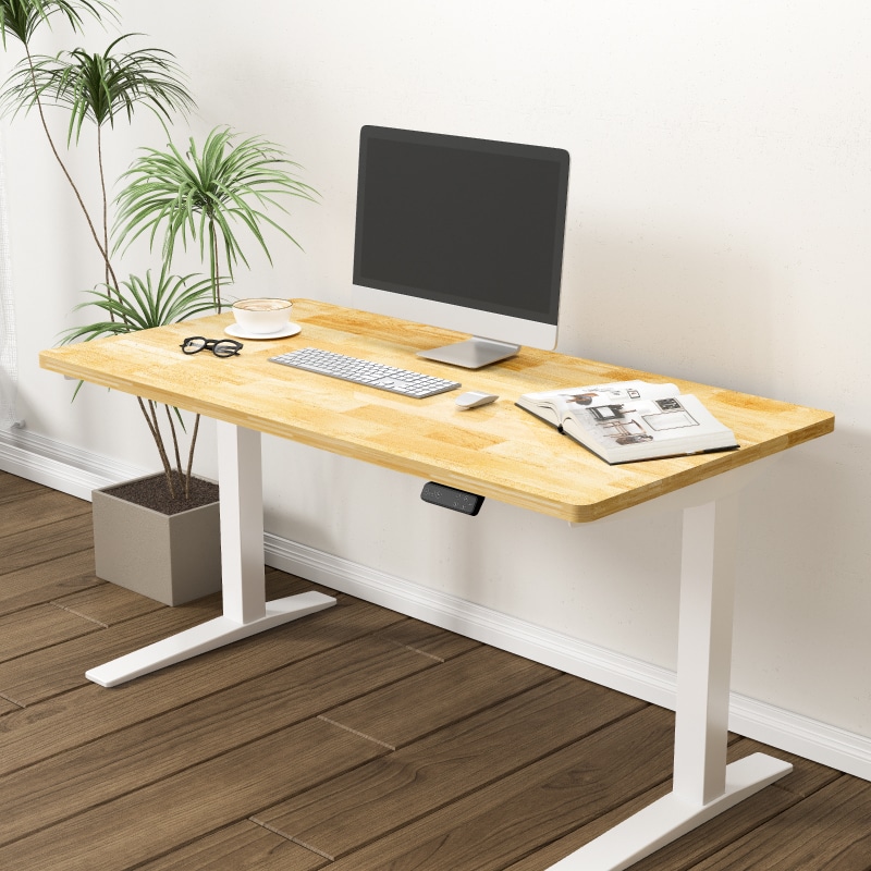 FlexiSpot 天板Grey Wood 120×60cm FLEXISPOT EN1 Whole-Piece Standing Desk 48 x 24 Inches